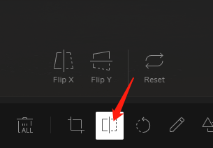 Click "Flip" in the toolbar.